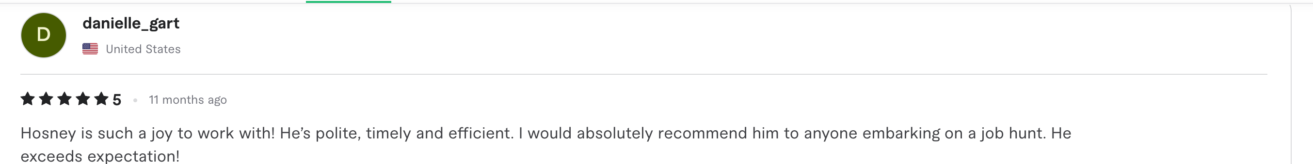 Fiverr review screenshot from danielle_gart